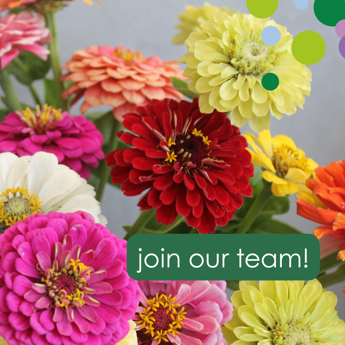 Vacature | Inkoper